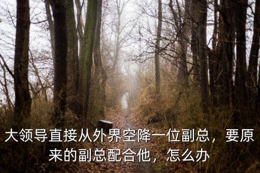 大領導直接從外界空降一位副總，要原來的副總配合他，怎么辦