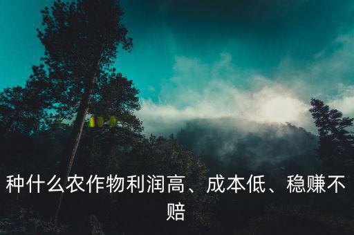 種什么農(nóng)作物利潤高、成本低、穩(wěn)賺不賠