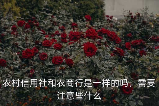 農(nóng)村信用社和農(nóng)商行是一樣的嗎，需要注意些什么