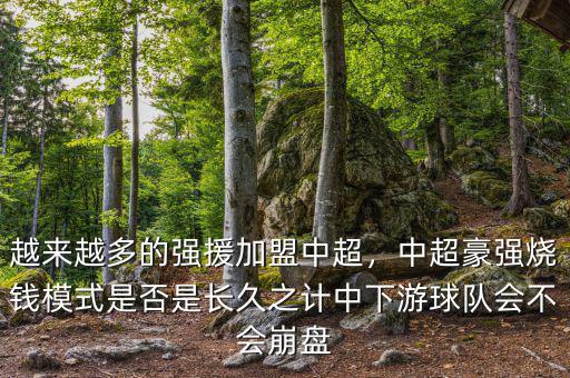 越來越多的強援加盟中超，中超豪強燒錢模式是否是長久之計中下游球隊會不會崩盤