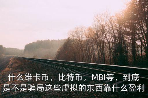 什么維卡幣，比特幣，MBI等，到底是不是騙局這些虛擬的東西靠什么盈利