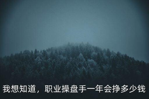我想知道，職業(yè)操盤手一年會(huì)掙多少錢