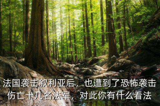 法國襲擊敘利亞后，也遭到了恐怖襲擊傷亡十幾名法軍，對此你有什么看法