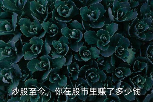 炒股至今，你在股市里賺了多少錢