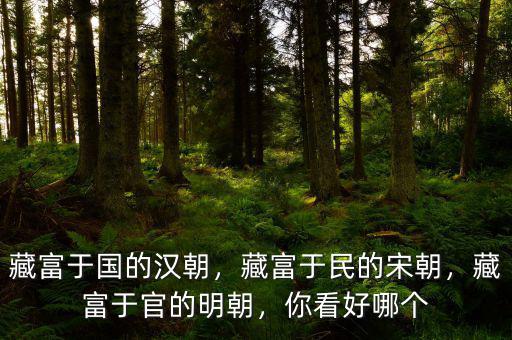 藏富于國的漢朝，藏富于民的宋朝，藏富于官的明朝，你看好哪個(gè)