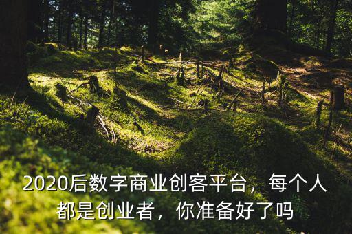 2020后數(shù)字商業(yè)創(chuàng)客平臺(tái)，每個(gè)人都是創(chuàng)業(yè)者，你準(zhǔn)備好了嗎