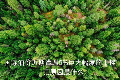 國際油價近期遭遇5%巨大幅度的下挫，其原因是什么