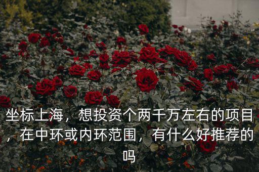 坐標(biāo)上海，想投資個(gè)兩千萬(wàn)左右的項(xiàng)目，在中環(huán)或內(nèi)環(huán)范圍，有什么好推薦的嗎