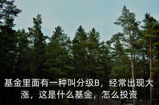 基金里面有一種叫分級(jí)B，經(jīng)常出現(xiàn)大漲，這是什么基金，怎么投資