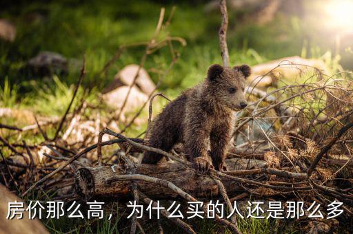 房?jī)r(jià)那么高，為什么買的人還是那么多