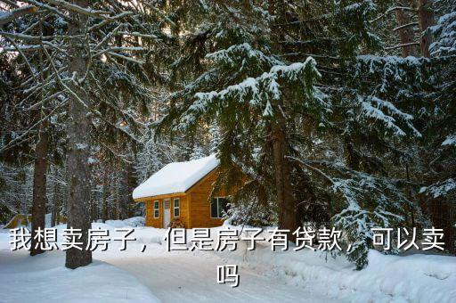我想賣房子，但是房子有貸款，可以賣嗎