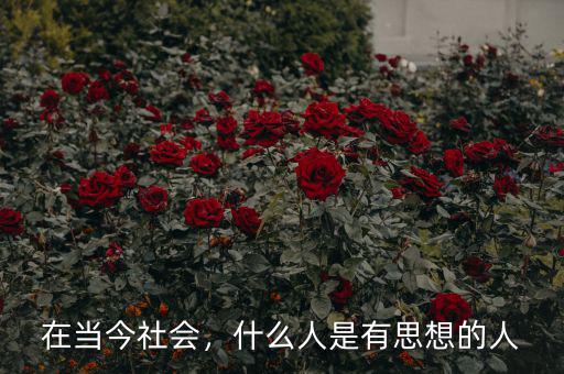 在當(dāng)今社會(huì)，什么人是有思想的人