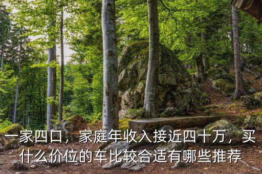 一家四口，家庭年收入接近四十萬(wàn)，買什么價(jià)位的車比較合適有哪些推薦