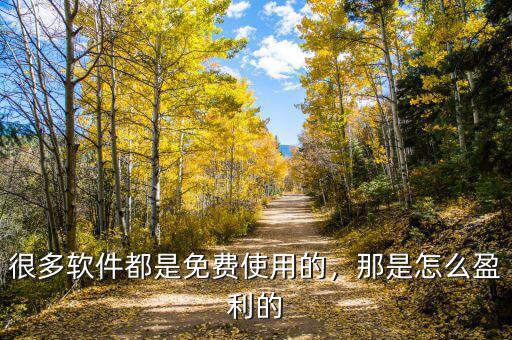 很多軟件都是免費使用的，那是怎么盈利的