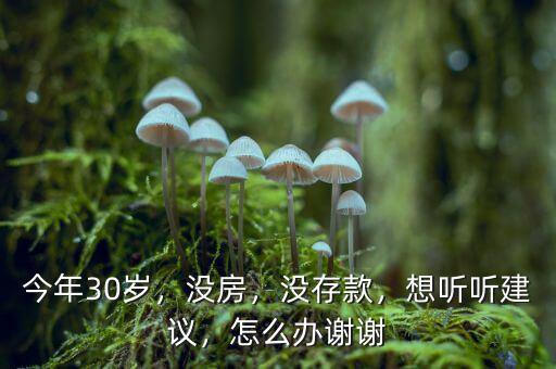 今年30歲，沒(méi)房，沒(méi)存款，想聽(tīng)聽(tīng)建議，怎么辦謝謝