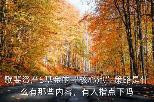 歌斐資產(chǎn)S基金的“核心池”策略是什么有那些內(nèi)容，有人指點(diǎn)下嗎
