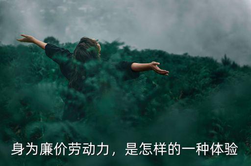 身為廉價(jià)勞動(dòng)力，是怎樣的一種體驗(yàn)