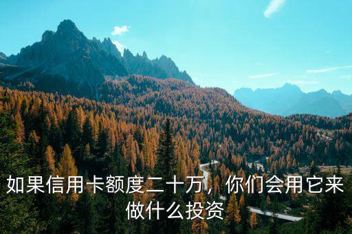 如果信用卡額度二十萬，你們會用它來做什么投資