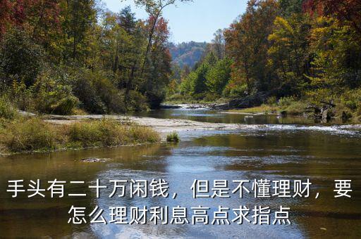 手頭有二十萬閑錢，但是不懂理財(cái)，要怎么理財(cái)利息高點(diǎn)求指點(diǎn)