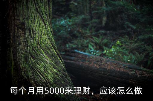 每個月用5000來理財，應該怎么做