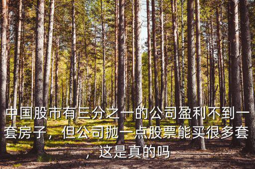 中國股市有三分之一的公司盈利不到一套房子，但公司拋一點股票能買很多套，這是真的嗎