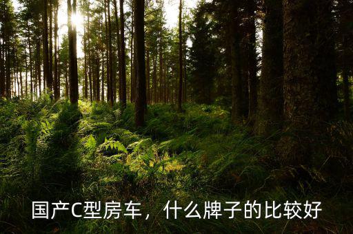 國(guó)產(chǎn)C型房車(chē)，什么牌子的比較好
