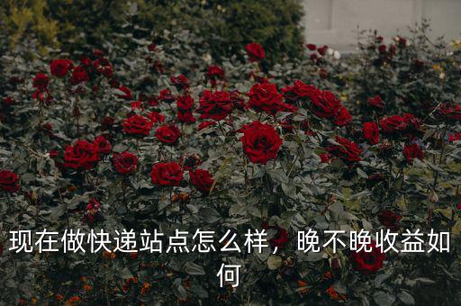 現(xiàn)在做快遞站點怎么樣，晚不晚收益如何