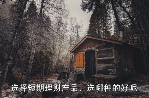 選擇短期理財(cái)產(chǎn)品，選哪種的好呢
