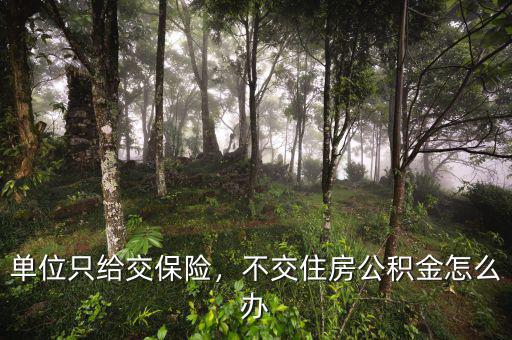 單位只給交保險(xiǎn)，不交住房公積金怎么辦