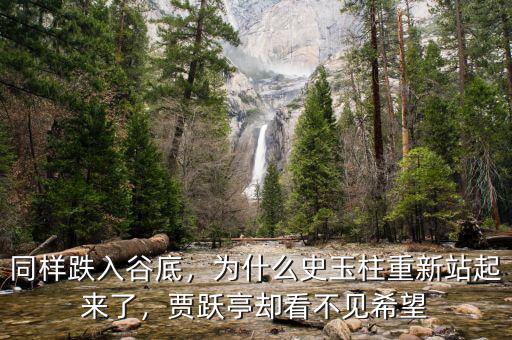 同樣跌入谷底，為什么史玉柱重新站起來了，賈躍亭卻看不見希望
