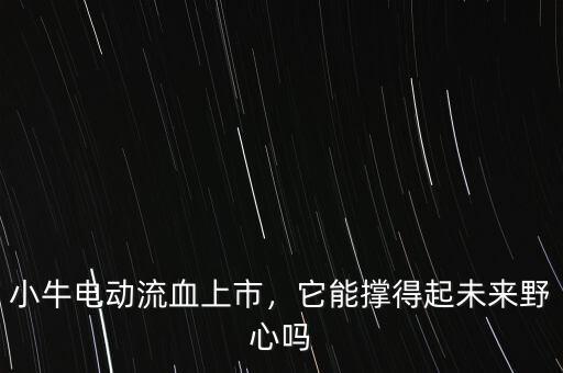 小牛電動(dòng)流血上市，它能撐得起未來野心嗎