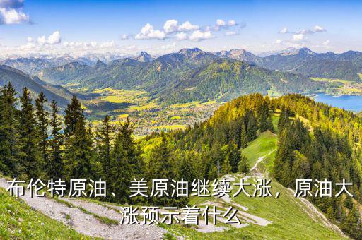 布倫特原油、美原油繼續(xù)大漲，原油大漲預(yù)示著什么