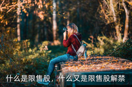 什么是限售股，什么又是限售股解禁