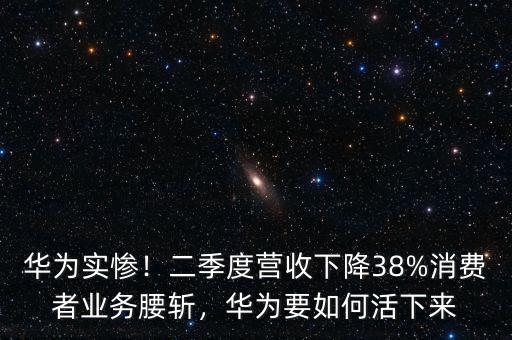 華為實慘！二季度營收下降38%消費者業(yè)務(wù)腰斬，華為要如何活下來