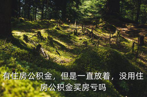 有住房公積金，但是一直放著，沒(méi)用住房公積金買(mǎi)房虧嗎