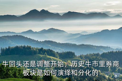 什么是?；仡^,牛回頭還是調(diào)整開始