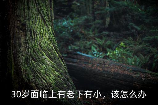 30歲面臨上有老下有小，該怎么辦