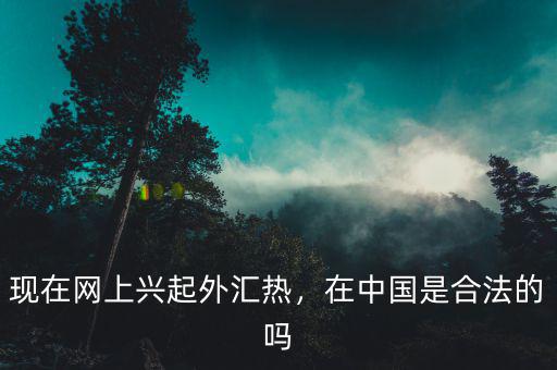 現(xiàn)在網(wǎng)上興起外匯熱，在中國是合法的嗎