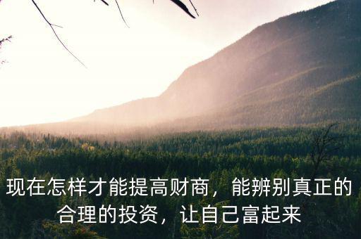 現(xiàn)在怎樣才能提高財商，能辨別真正的合理的投資，讓自己富起來
