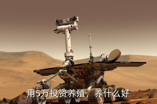 用5萬投資養(yǎng)殖，養(yǎng)什么好