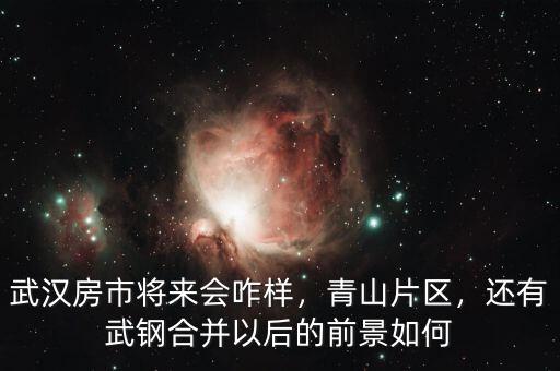 武漢房市將來會咋樣，青山片區(qū)，還有武鋼合并以后的前景如何