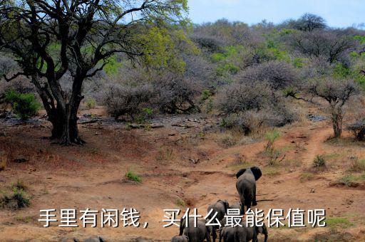 手里有閑錢(qián)，買(mǎi)什么最能保值呢