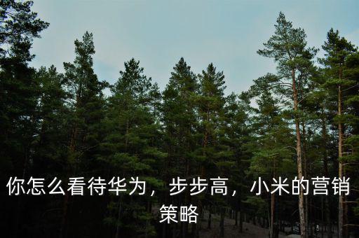 小米怎么銷(xiāo)售,你怎么看待華為