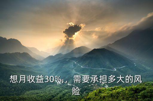 想月收益30%,，需要承擔(dān)多大的風(fēng)險(xiǎn)