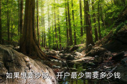 如果想要炒股，開戶最少需要多少錢
