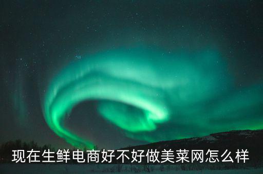 現在生鮮電商好不好做美菜網怎么樣