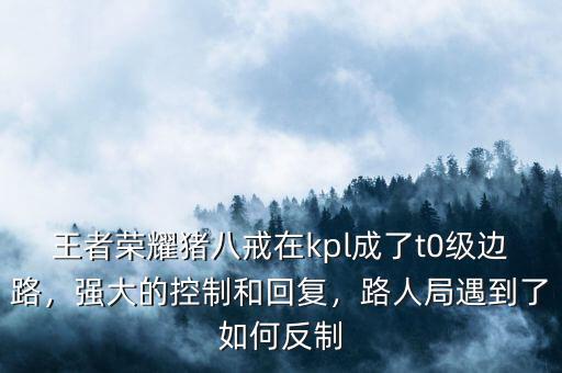 王者榮耀豬八戒在kpl成了t0級邊路，強大的控制和回復，路人局遇到了如何反制