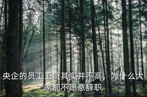 央企的員工工資其實(shí)并不高，為什么大家都不愿意辭職