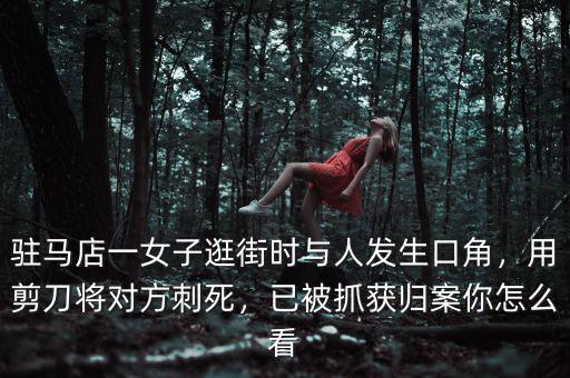 駐馬店一女子逛街時(shí)與人發(fā)生口角，用剪刀將對(duì)方刺死，已被抓獲歸案你怎么看