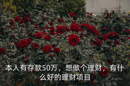 本人有存款50萬，想做個理財，有什么好的理財項目